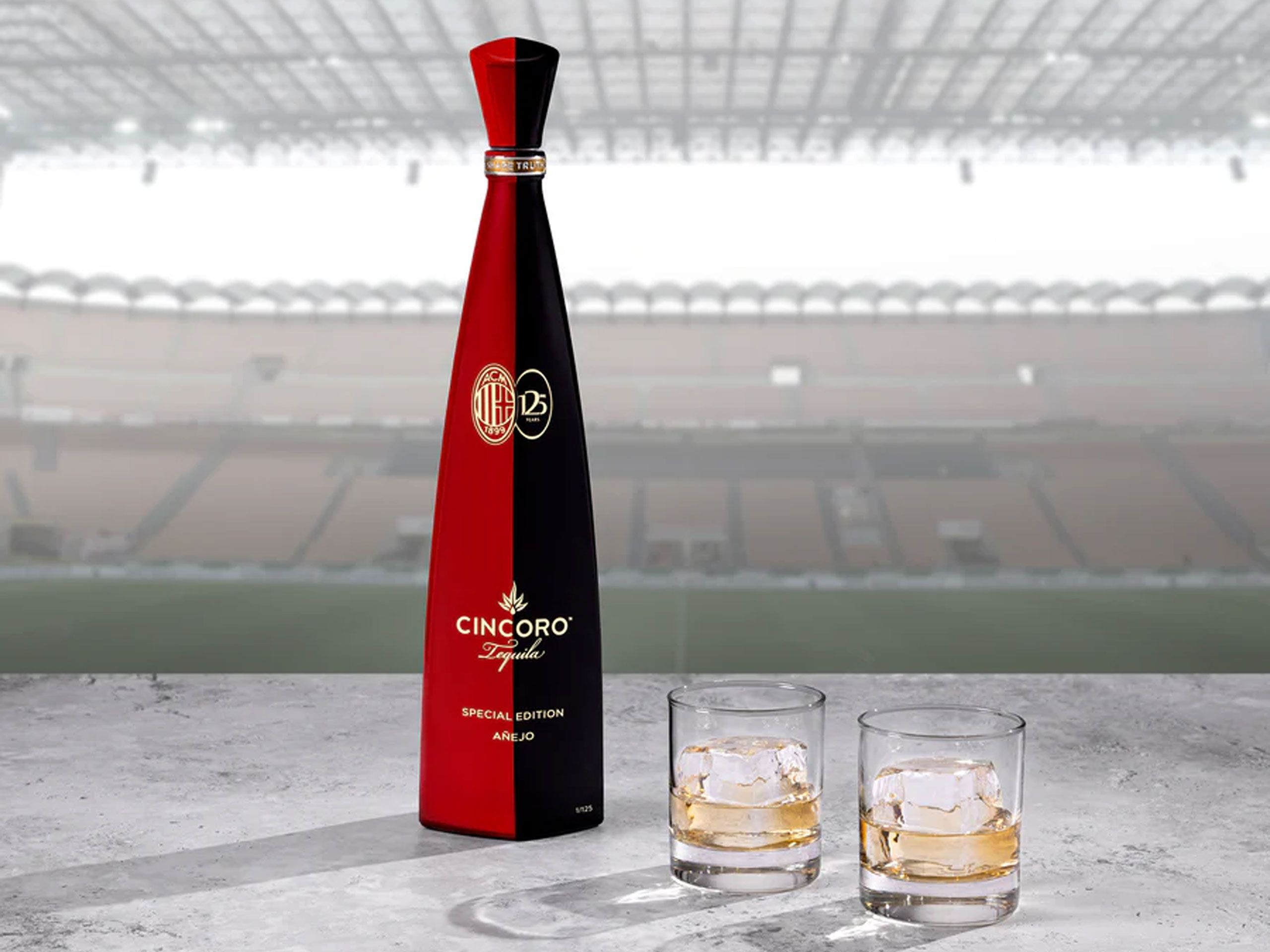 Agave Fields, Jalisco Mexico